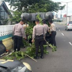 Ranting Pohon Halangi Pengendara di JLNT Antasari, Polda Metro Bantu Rapikan