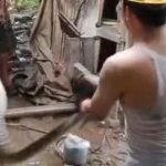 Ular Sanca 5 Meter Masuk Kandang Ternak Warga di Lebak, Mangsa 2 Ekor Ayam