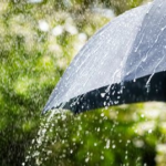 Sedia Payung, Jabodetabek Diprediksi Hujan Sepanjang Hari