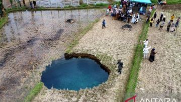 Apa itu Fenomena Sinkhole yang Muncul di Sawah Warga di Sumbar?
